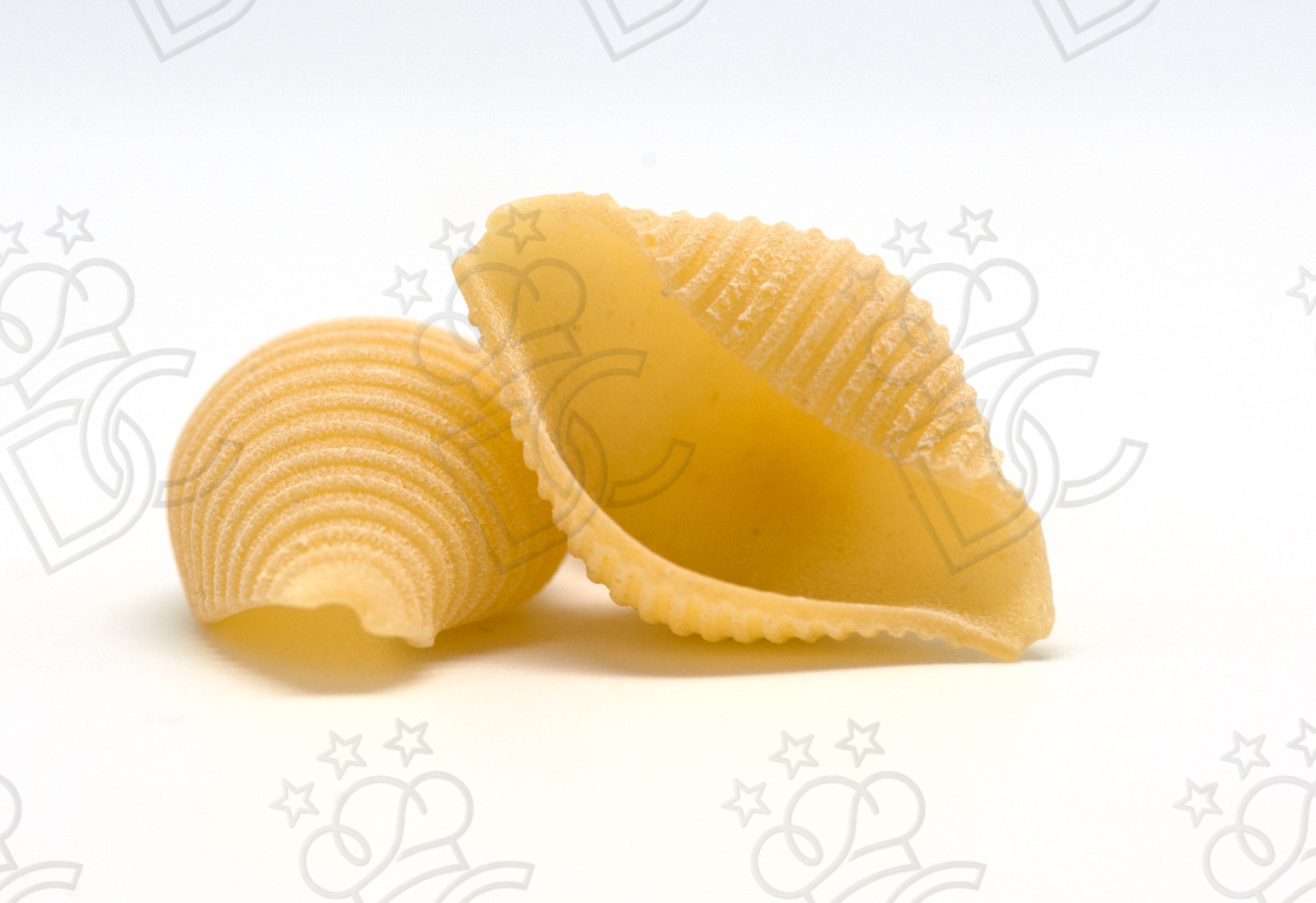 Trafila per Conchiglia rustica