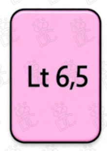Bac de 6,5 L