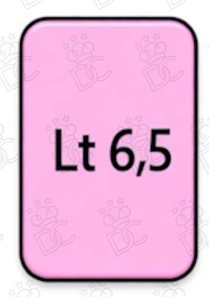 6.5 L container