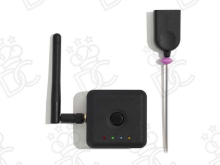 FROBE probe for temperature monitoring